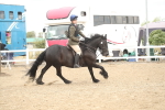 SBM_16642