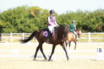 SBM_009878