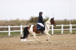 SBM_000801