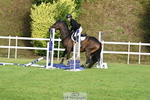 Cls 34 Snr Foxhunter portfolio