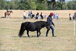 WJ6_4182