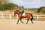 SBM_009716