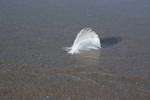 DSCF1933