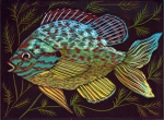 Pumpkinseed