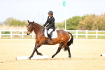 SBM_007424