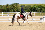 SBM_010696