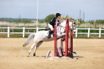SBM_007609
