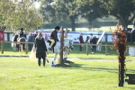 SBM_37199