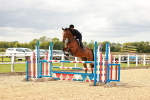 SBM_001399