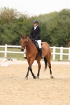 SBM_00955