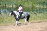 WJ7_8016