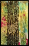 Rainforest Ferns