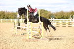 SBM_003535