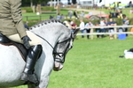 SBM_46897