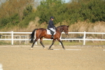 SBM_000195