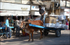 India Porbandar main street bullock cart