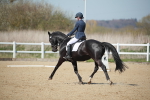 SJ3_1052