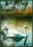 A breeze on the river