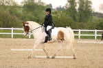 SBM_006530