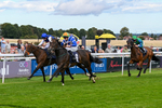 160926-Race 2-Northern Viola-9719