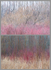 HE/SHE #25, 2019