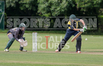 WANDERERS vs GRIFFINS portfolio