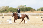 SBM_003811