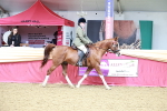 SBM_02991