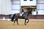 SBM_002531