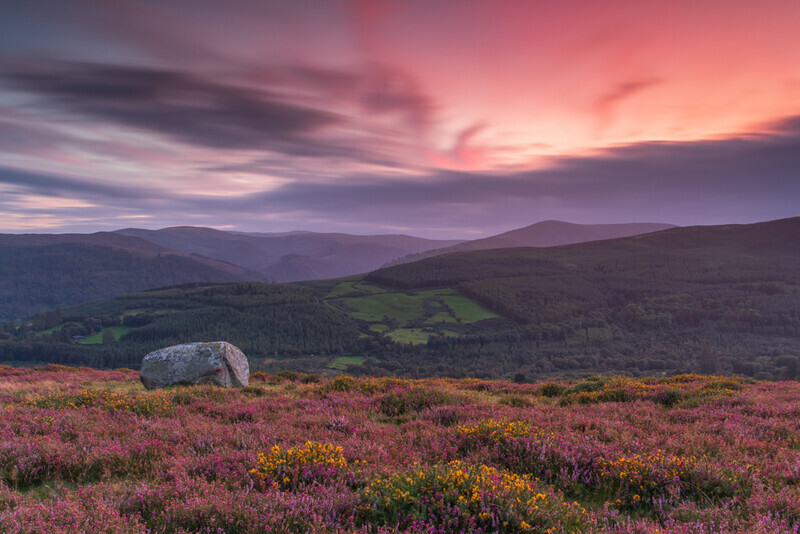 Wicklow Mountains Sunset from Paddock Hill