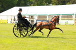 SBM_02686