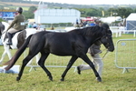 DSC04903