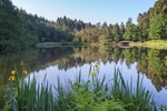Reflections at Mallards Pike