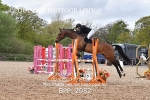 BPP_2952
