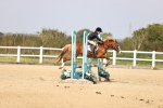 SBM_002229
