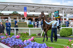 130626-Race 6-Point Of Contact-2257