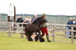 SBM_05963