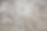 SBM_001221