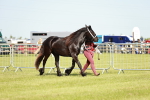 SBM_00782