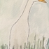 Runner duck