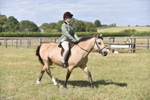 Class 12 - 14.2hh and Under portfolio