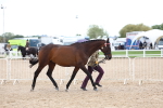SBM_15259