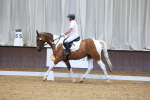 SBM_000089