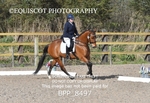 BPP_8497