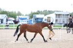 SBM_15324