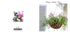 703 Hanging Basket