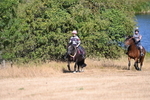 WJ6_7883