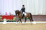 SBM_004385