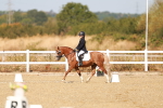 SBM_017579