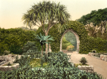 Scilly Isles Tresco 5